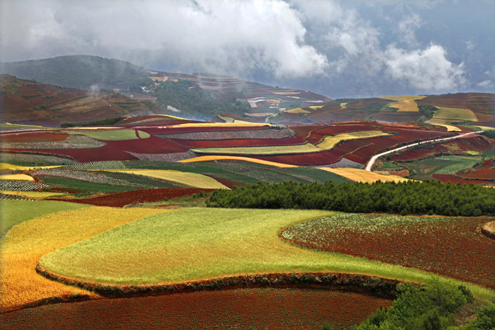 封底（大地旋律，李忠良摄）.JPG